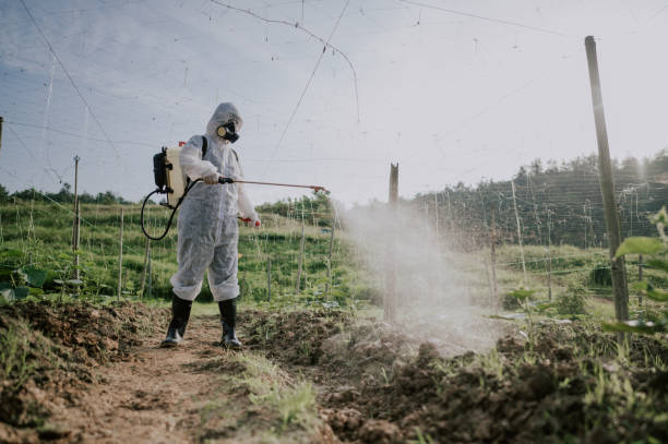Best Affordable Pest Control Services  in Ester, AK