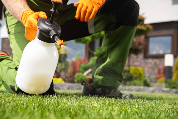 Best Bed Bug Extermination  in Ester, AK