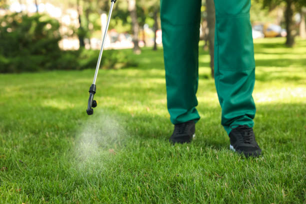 Trusted Ester, AK Pest Control Experts