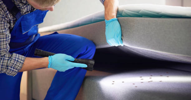 Best Best Pest Control Companies  in Ester, AK